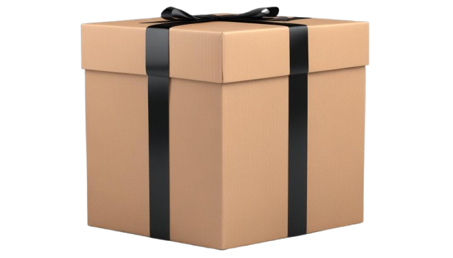 Why Choose Speed Line Delivery Services